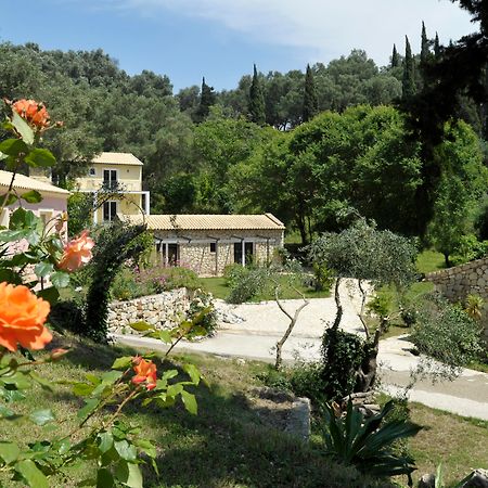 Blue Princess Hotel And Suites Liapades Dış mekan fotoğraf